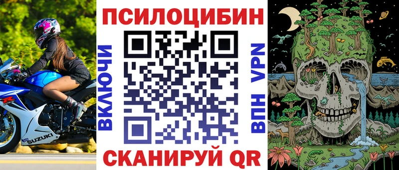 Галлюциногенные грибы Psilocybine cubensis  Алупка 
